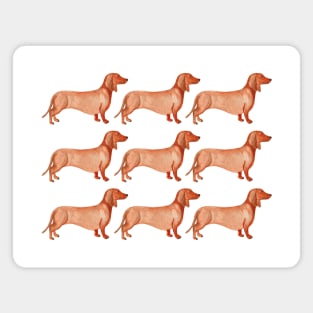 Watercolor weenie dog pattern Magnet